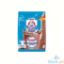 Picture of Bear Brnd Choco Milk Drink 300g