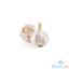 Picture of Global Fresh Garlic Taiwan