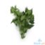 Picture of Global Fresh Sili Leaves