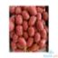 Picture of Bounty Fresh Chorizo Cebu Per Kg