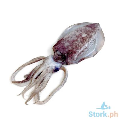 Picture of AJ Pusit Lumot Per Kilo