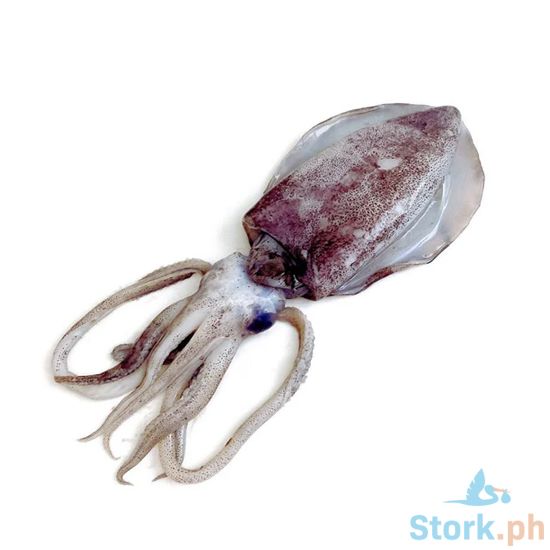 Picture of AJ Pusit Lumot Per Kilo