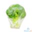 Picture of Global Fresh Baguio Brocoli Perkilo