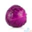 Picture of Millenium Cabbage Red Per Kilo
