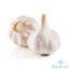 Picture of Millenium Garlic Taiwan Per Kilo